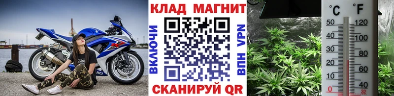 Наркотические вещества Починок Кокаин  Мефедрон  Псилоцибиновые грибы  kraken как зайти  Бошки Шишки 