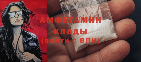 шишки Абаза