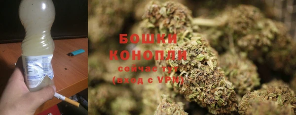 шишки Абаза