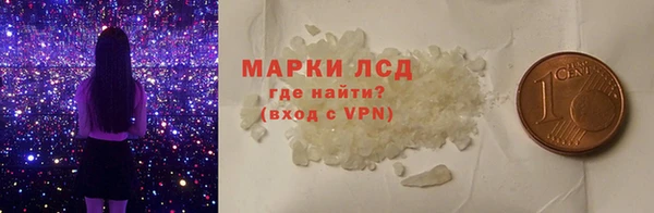 шишки Абаза