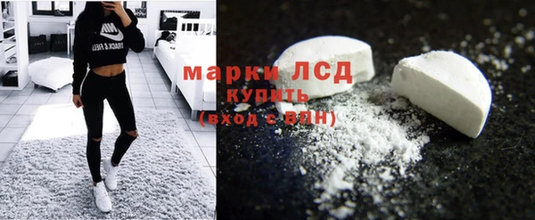 шишки Абаза