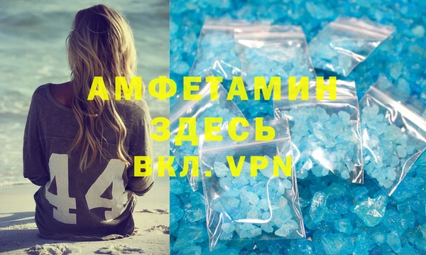 шишки Абаза