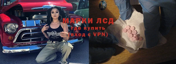шишки Абаза