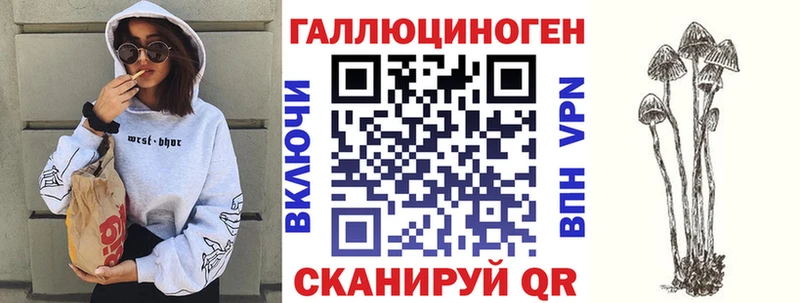 цены   Починок  Галлюциногенные грибы Psilocybine cubensis 